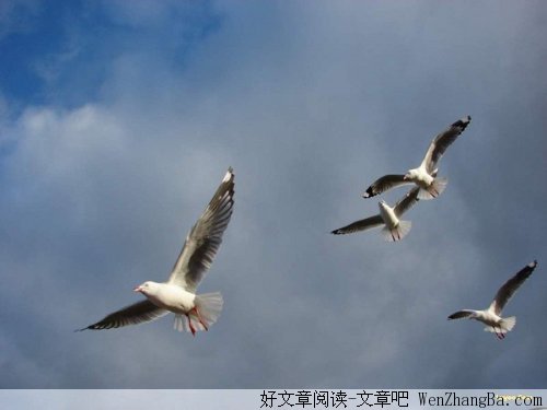 相信明天会更好