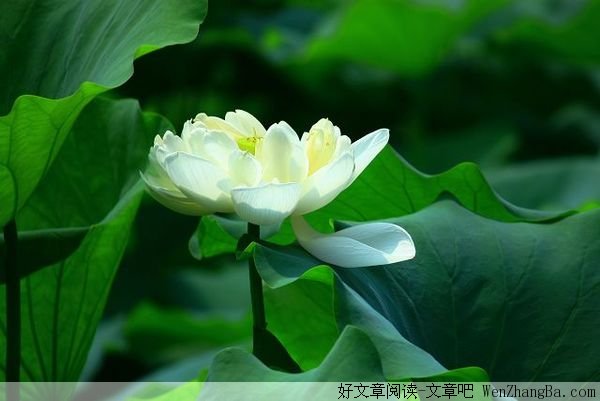 男人要的并不多