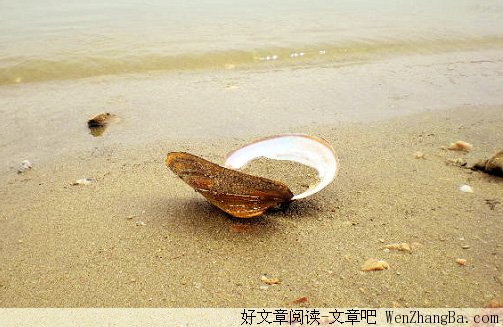 12句经典