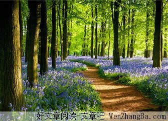 漫长人生，漫长时光，却永远回不到过去