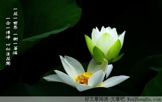 打扫心灵的尘埃