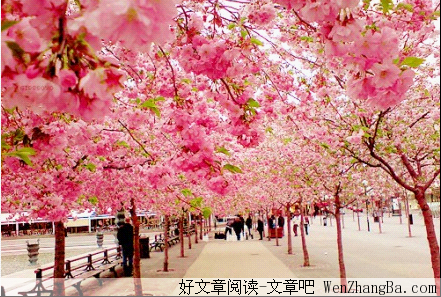 当你堕落时,这些话会激励你的