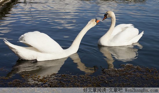 争吵也是解决问题的一种方式