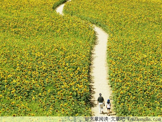 经典治愈系句子,总有那么一句是你心灵的疗伤药!