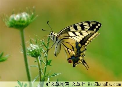生命中的缘和爱 