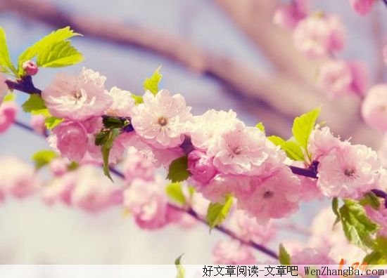婚姻真的是爱情的坟墓吗？