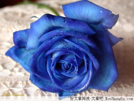 我死了，你还会娶别人吗