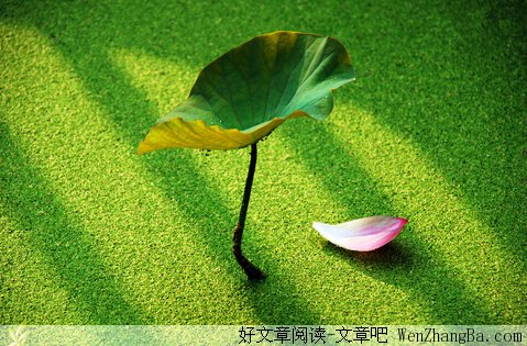 安静的角落