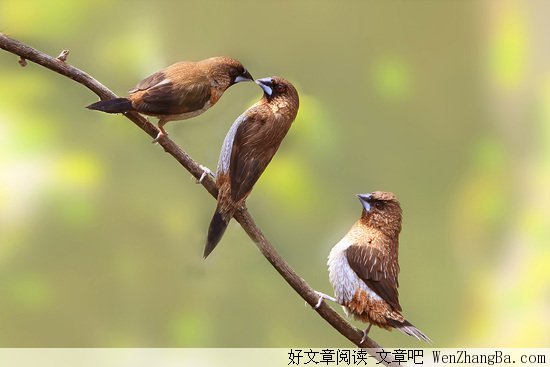 曾经的“姐妹”令我忍辱大半生