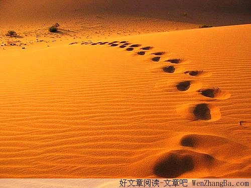 最烂和最佳