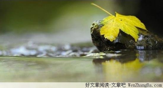 放下,你会很幸福