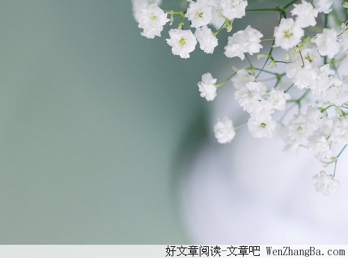 爱与不爱,都是一种伤害