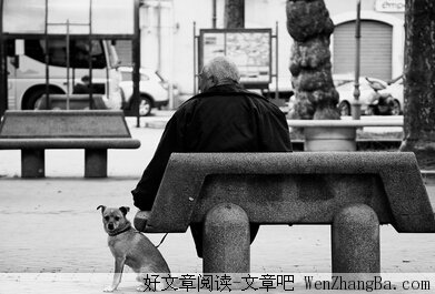 一个老人