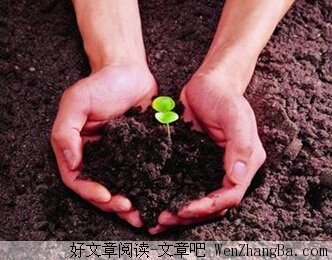 24条哲理语录，我们应该每天都给自己一个希望