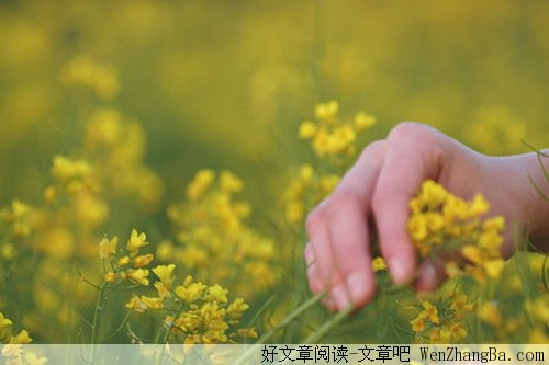 假若时光，让我变成回忆