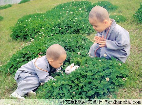 心地善良的人，容貌一定动人；心里知足的人，生活一定快乐