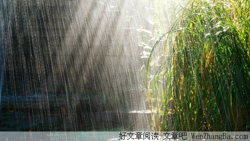 夏日听雨