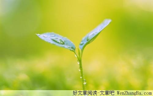 如果真的不行，要学会转身