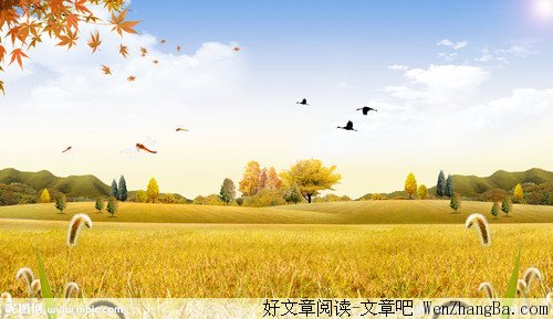 立秋时节