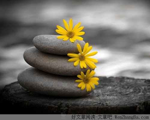 坦然微笑地面对生活  