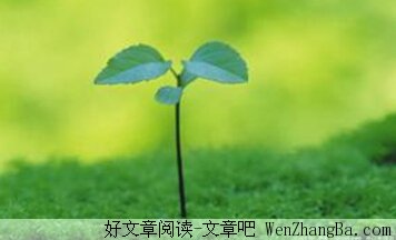 老师,请相信我女儿