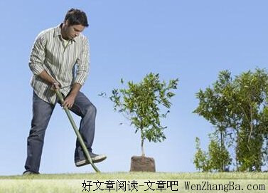 种树的人