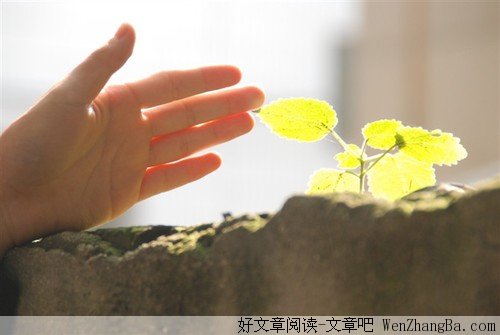 有时候，我若不坚强，谁替我坚强？