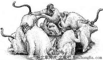 混事的本事