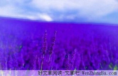 我们所有的等待，不过是为了遇见一个对的人