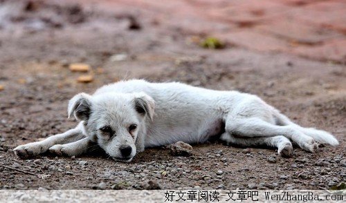 错的都是我的