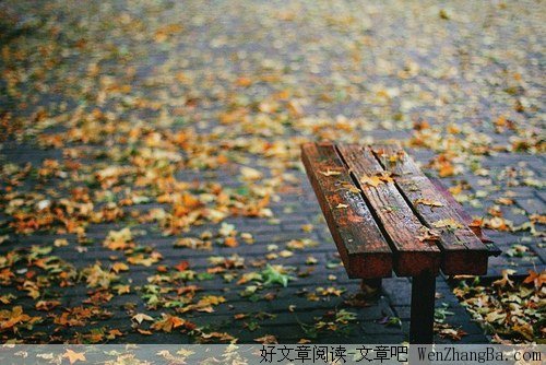 中年听秋雨