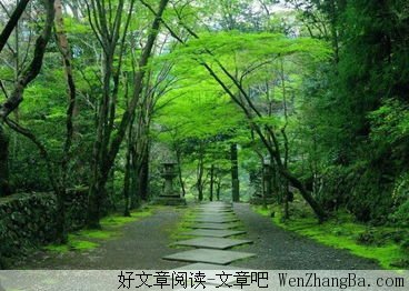 心静，决定幸福的品质