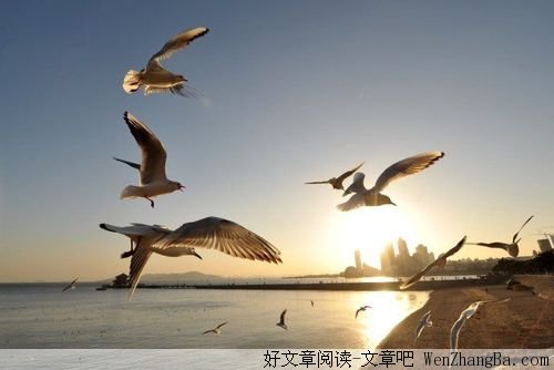 愿您天天是好日