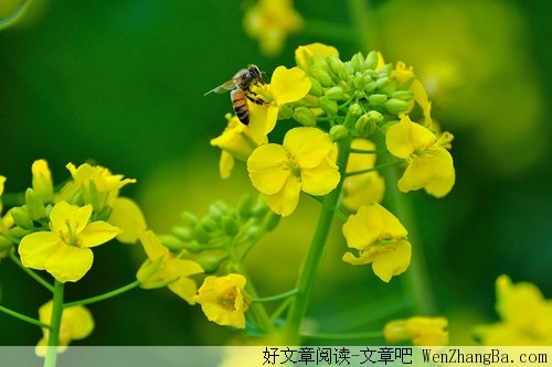 难得近视