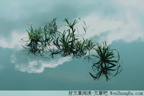做朵闲云