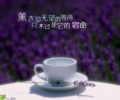 懂得珍惜 等