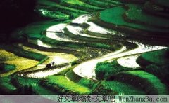 寻觅故乡的味道