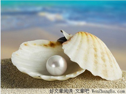你有才华为什么得不到重用原因有哪些