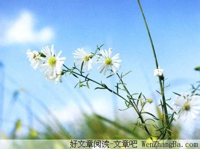 合宜的位置