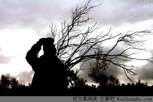 四头骡子