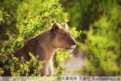 你必须是专注的