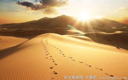 生命之路只在于两条