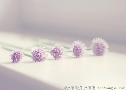 可以输给任何人，但不能输给自己
