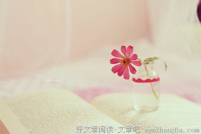 朋友圈里的高大上