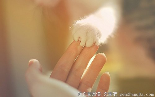 菜不可貌相