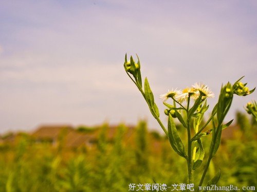 方言 游子的名片