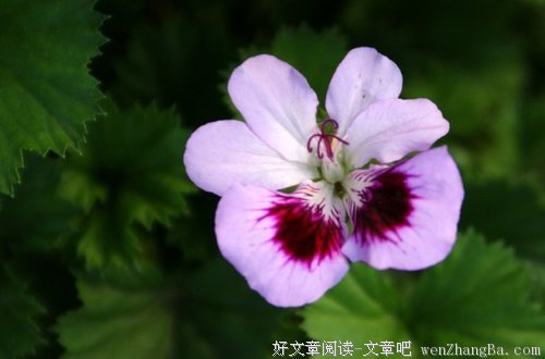 人生要学会三件事