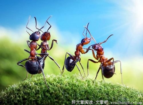 生活就是舞台