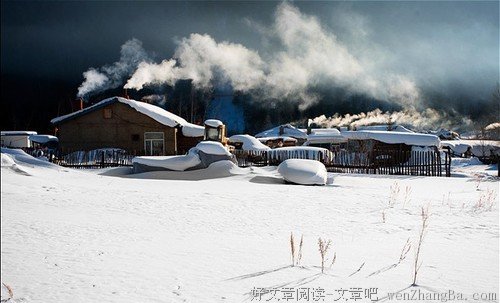 乡村的雪