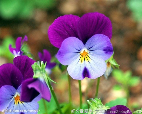 人生有太多的无奈，生活不能被无奈左右